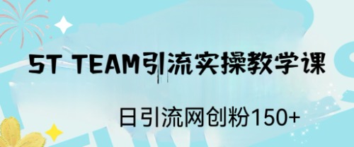 ST TEAM引流实操课，日引流网创粉100+-狄威团队