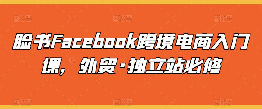 脸书Facebook跨境电商入门课，外贸·独立站必修-狄威团队