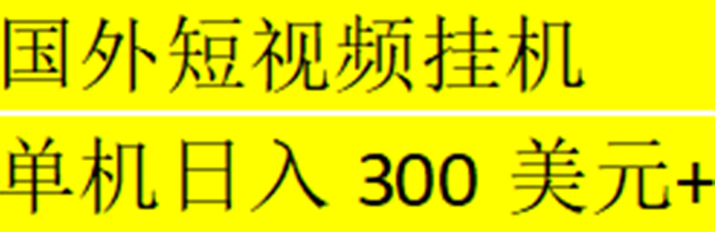 海外暴力短视频挂机全自动撸美金 单机日入300美元+【脚本免费+一对一指导】-狄威团队