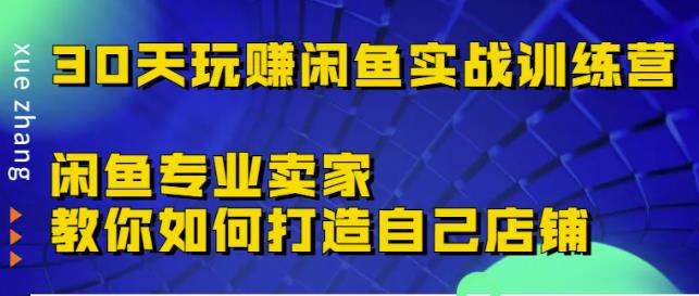 30天玩赚闲鱼实战训练营，闲鱼专业卖家教你如何打造自己店铺￼-狄威团队