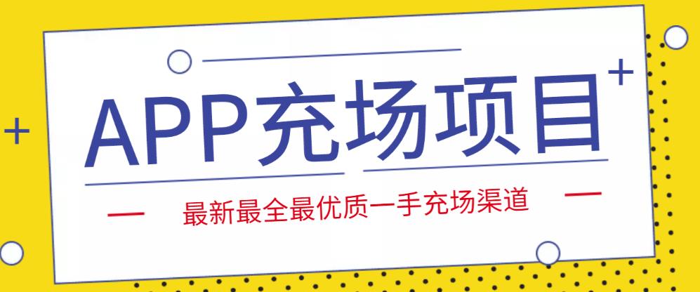 外面收费9800的APP充场项目，实操一天收入800+个人和工作室都可以做-狄威团队
