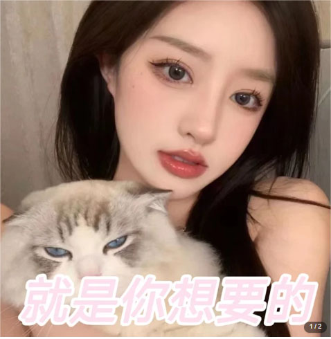 图片[2]-微信交友变现项目，吸引全网LSP男粉精准变现，小白也能轻松上手，日入500+-狄威团队