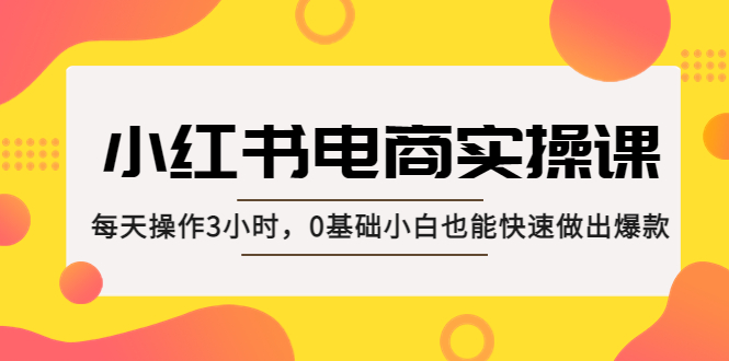 小红书·电商实操课：每天操作3小时，0基础小白也能快速做出爆款！-狄威团队