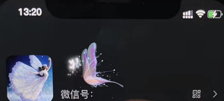 图片[4]-微信动态昵称设置方法，可抖音直播引流，日赚上百【详细视频教程+素材】-狄威团队