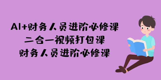 AI + 财务人员进阶必修课二合一视频打包课，财务人员进阶必修课-狄威团队
