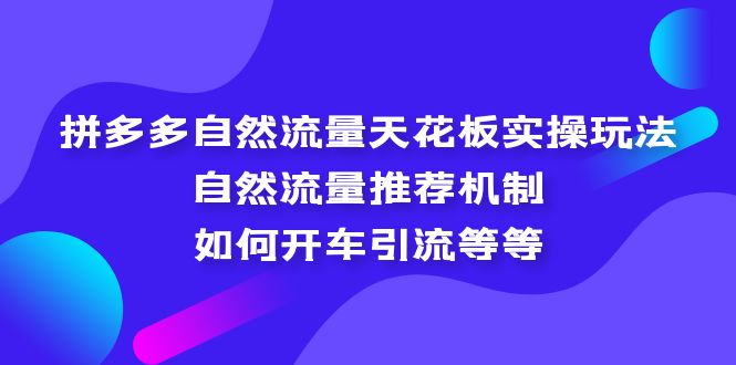 拼多多自然流量天花板实操玩法：自然流量推荐机制，如何开车引流等等-狄威团队
