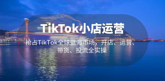 TikTok小店运营 抢占TikTok全球蓝海市场，开店、运营、带货、投流全实操-狄威团队