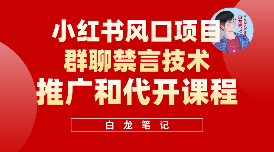 小红书风口项目日入300+，小红书群聊禁言技术代开项目，适合新手操作-狄威团队