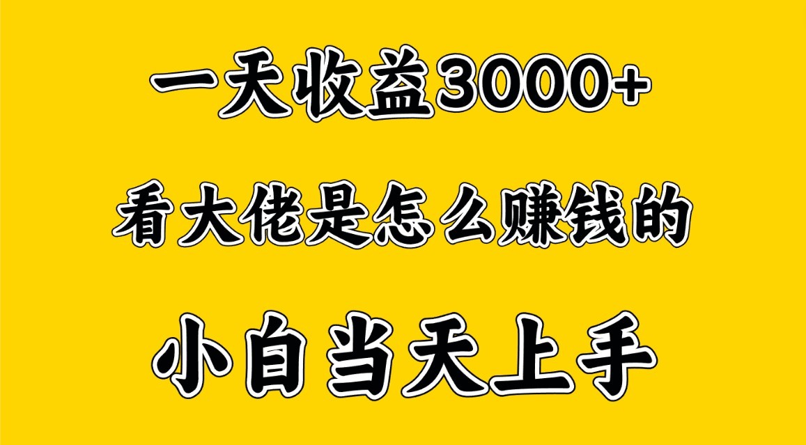 一天赚3000多,大佬是这样赚到钱的,小白当天上手,穷人翻身项目-狄威团队