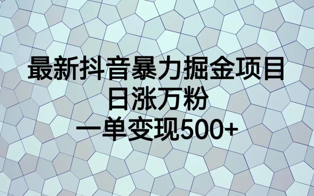 最新抖音暴力掘金项目，日涨万粉，一单变现500+-狄威团队