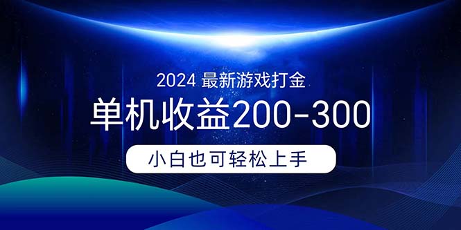 2024最新游戏打金单机收益200-300-狄威团队