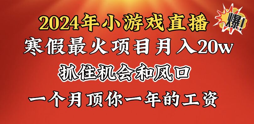 2024年寒假爆火项目，小游戏直播月入20w+，学会了之后你将翻身-狄威团队
