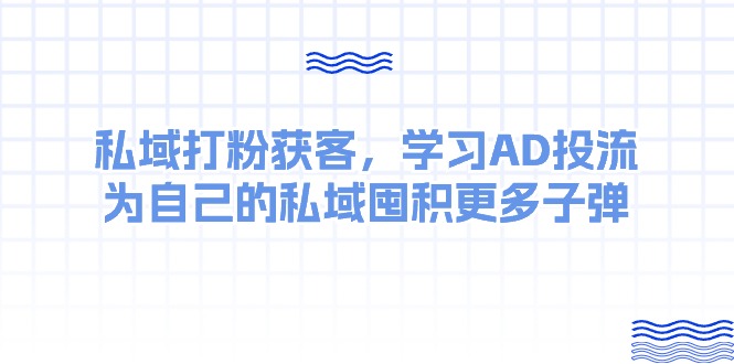 （10728期）某收费课：私域打粉获客，学习AD投流，为自己的私域囤积更多子弹-狄威团队
