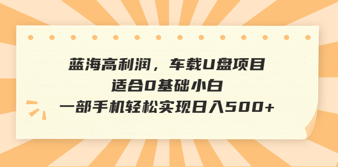 蓝海高利润，车载U盘项目，适合0基础小白，一部手机轻松实现日入500+-狄威团队
