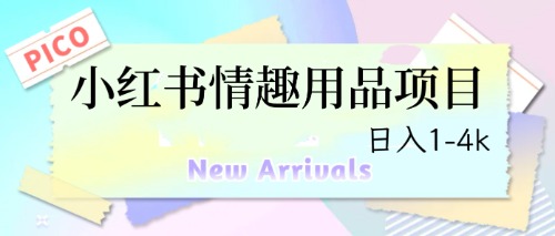 最新小红书情趣用品项目,日入1-4k-狄威团队