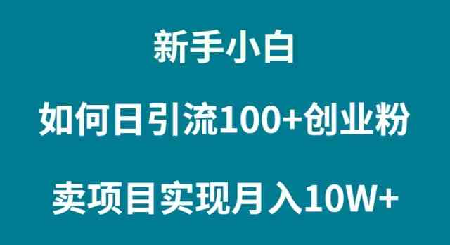 （9556期）新手小白如何通过卖项目实现月入10W+-狄威团队
