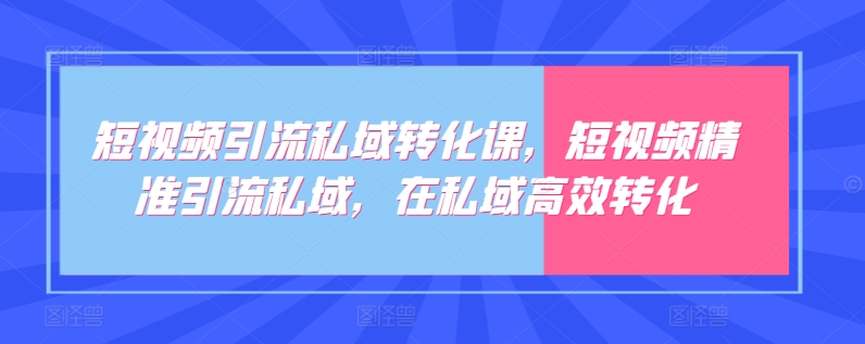 短视频引流私域转化课，短视频精准引流私域，在私域高效转化-狄威团队