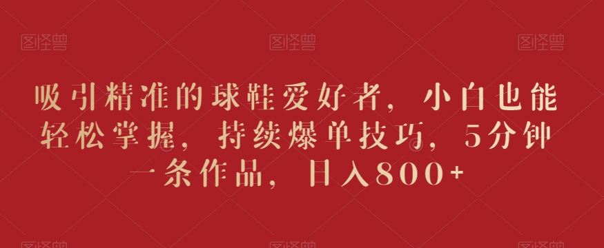 吸引精准的球鞋爱好者，小白也能轻松掌握，持续爆单技巧，5分钟一条作品，日入800+【揭秘】-狄威团队