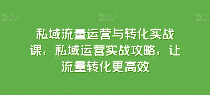 私域流量运营与转化实战课，私域运营实战攻略，让流量转化更高效-狄威团队