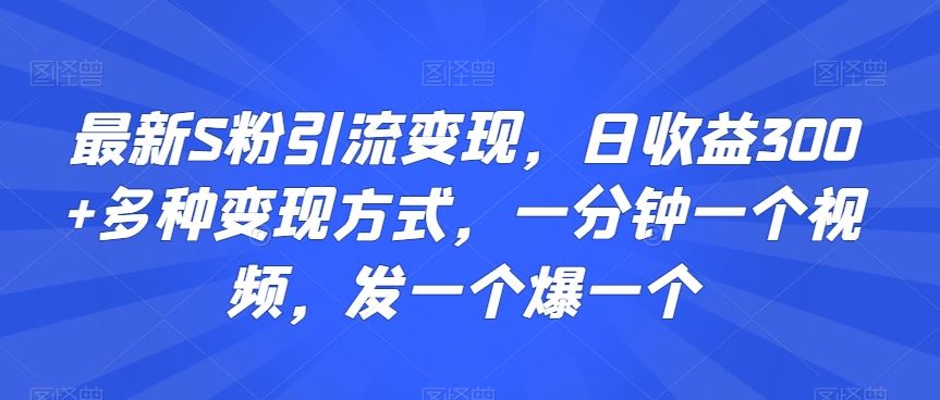 最新S粉引流变现，日收益300+多种变现方式，一分钟一个视频，发一个爆一个【揭秘】-狄威团队