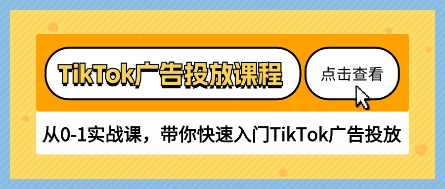 TikTok广告投放课程，从0-1实战课，带你快速入门TikTok广告投放（30节课）-狄威团队