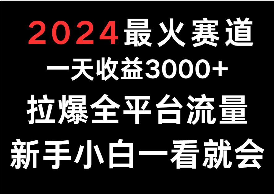 2024最火赛道，一天收一3000+.拉爆全平台流量，新手小白一看就会-狄威团队