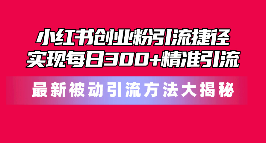 （10692期）小红书创业粉引流捷径！最新被动引流方法大揭秘，实现每日300+精准引流-狄威团队