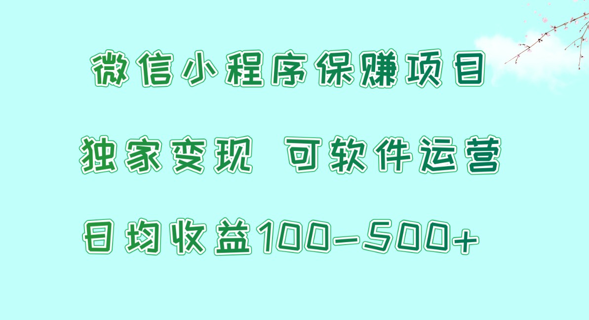 微信小程序保赚项目，日均收益100~500+，独家变现，可软件运营-狄威团队