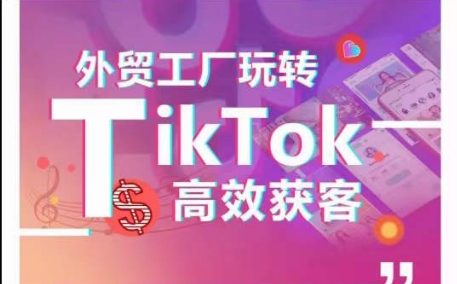 外贸工厂玩转TikTok高效获客,多种引流方式与账号定位技巧,拆解爆款短视频打造成功案例-狄威团队