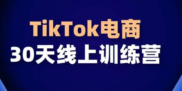 TikTok电商带货30天线上课，不可错过的全球流量洼地！-狄威团队