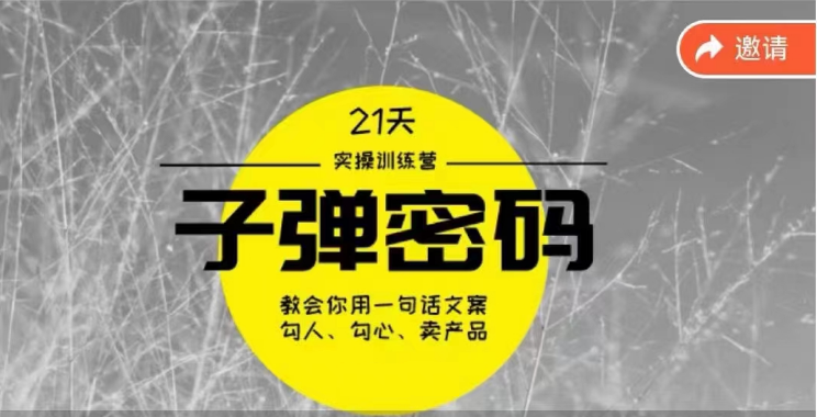 《子弹密码训练营》用一句话文案勾人勾心卖产品，21天学到顶尖文案大师策略和技巧-狄威团队