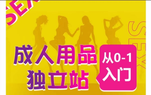 成人用品独立站从0-1入门，成品独立站运营全流程教学，七大好卖成品独立站推荐-狄威团队