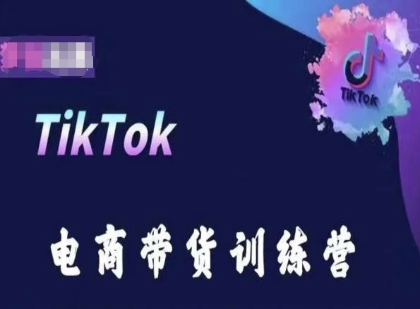 TikTok电商带货训练营,跟随时代潮流,跨境掘金-狄威团队