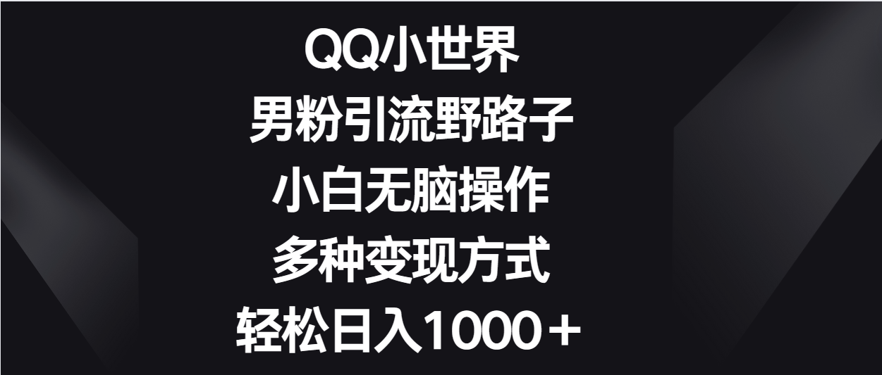 QQ小世界男粉引流野路子，小白无脑操作，多种变现方式轻松日入1000＋-狄威团队