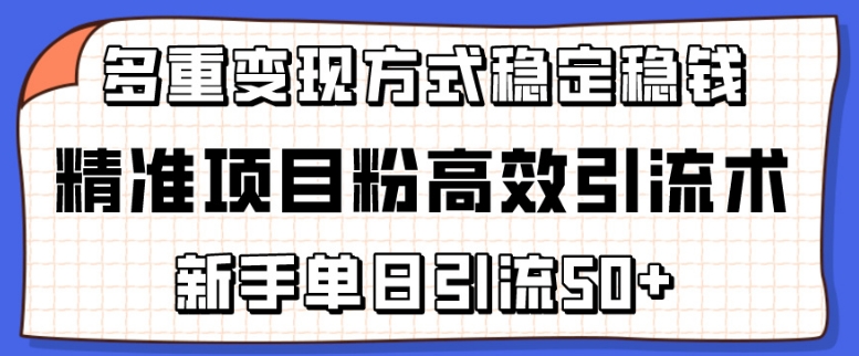 精准项目粉高效引流术，新手单日引流50+，多重变现方式稳定赚钱-狄威团队