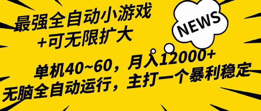 （10046期）2024最新全网独家小游戏全自动，单机40~60,稳定躺赚，小白都能月入过万-狄威团队