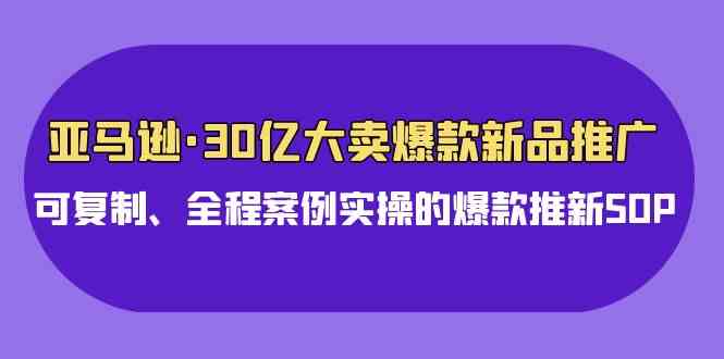 (9944期)亚马逊30亿·大卖爆款新品推广,可复制、全程案例实操的爆款推新SOP-狄威团队