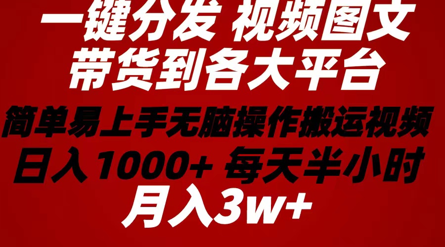 （10667期）2024年 一键分发带货图文视频  简单易上手 无脑赚收益 每天半小时日入1…-狄威团队