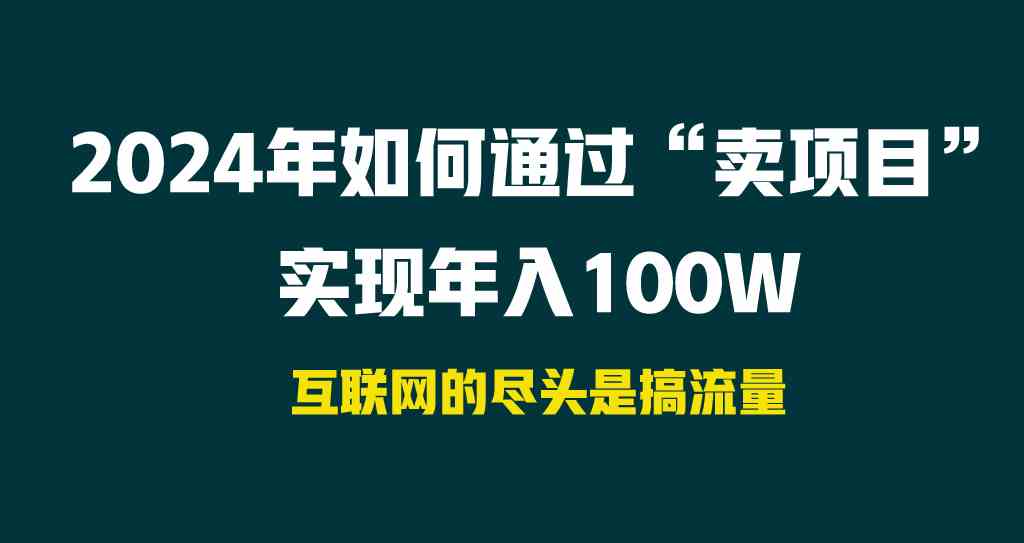 （9147期） 2024年如何通过“卖项目”实现年入100W-狄威团队