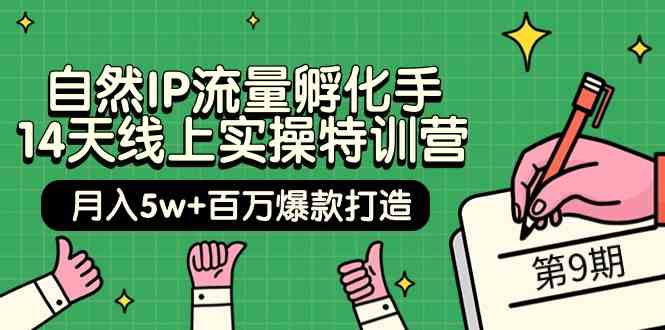 自然IP流量孵化手14天线上实操特训营【第9期】月入5w+百万爆款打造 (74节)-狄威团队