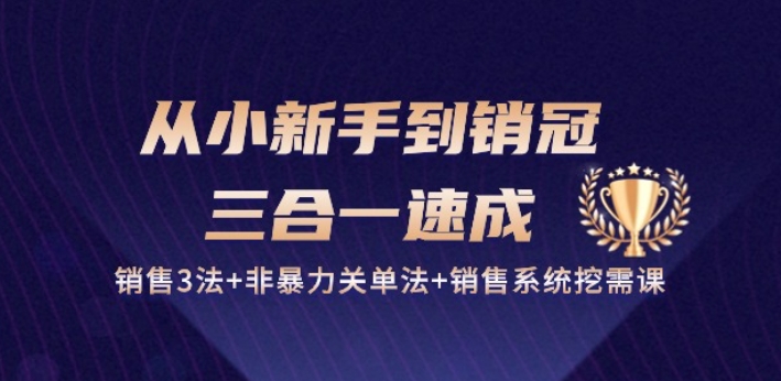 从小新手到销冠 三合一速成：销售3法+非暴力关单法+销售系统挖需课 (27节)-狄威团队