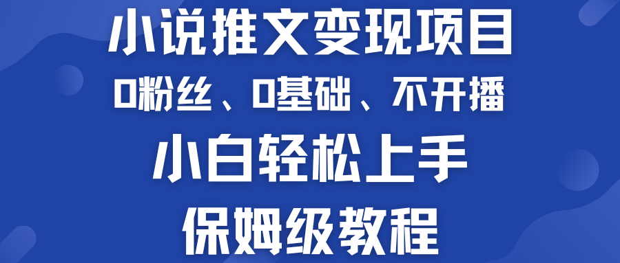 小说推文变现项目 0基础 不开播 小白轻松上手 保姆级教程-狄威团队