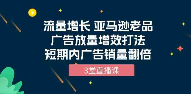 流量增长 亚马逊老品广告放量增效打法，短期内广告销量翻倍（3堂直播课）-狄威团队