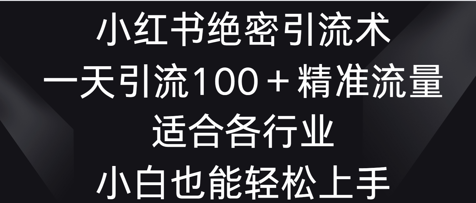 小红书绝密引流术，一天引流100＋精准流量，适合各个行业，小白也能轻松上手-狄威团队