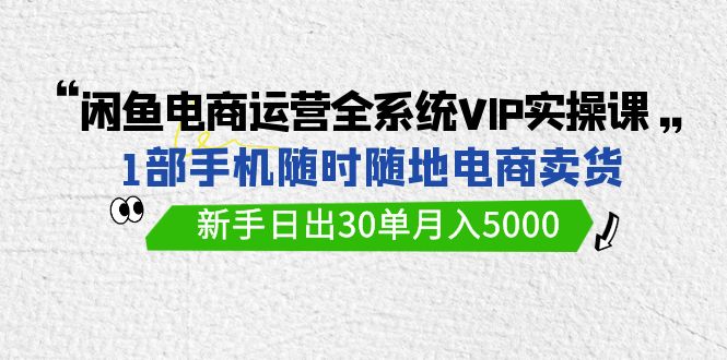 闲鱼电商运营全系统VIP实战课，1部手机随时随地卖货，新手日出30单月入5000-狄威团队