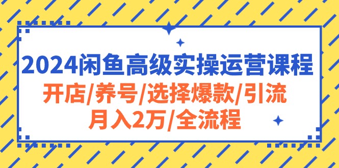 （10711期）2024闲鱼高级实操运营课程：开店/养号/选择爆款/引流/月入2万/全流程-狄威团队
