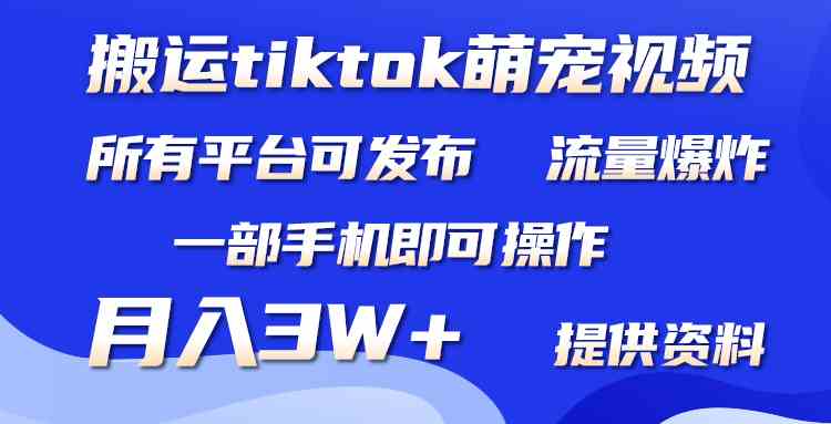 （9618期）搬运Tiktok萌宠类视频，一部手机即可。所有短视频平台均可操作，月入3W+-狄威团队