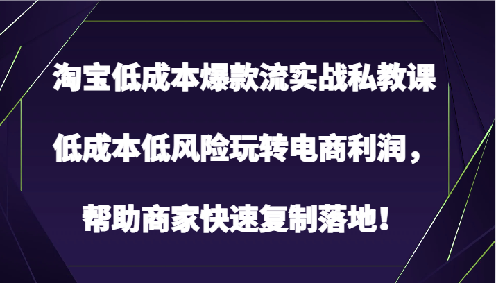 淘宝低成本爆款流实战私教课，低成本低风险玩转电商利润，帮助商家快速复制落地！-狄威团队