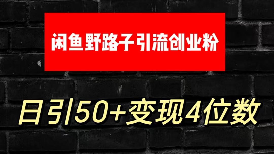 大眼闲鱼野路子引流创业粉，日引50+单日变现四位数-狄威团队