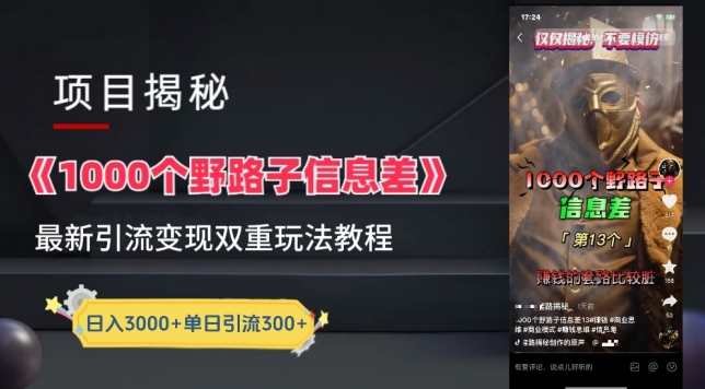 一千个野路子信息差最新玩法教程-变现+引流的玩法具体拆解-狄威团队